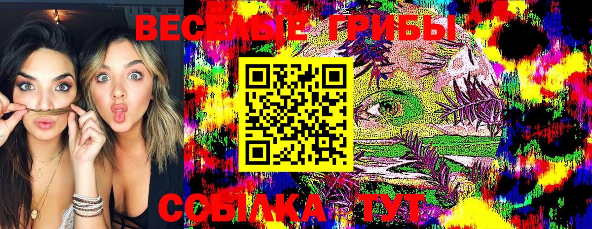 Галлюциногенные грибы GOLDEN TEACHER Печора