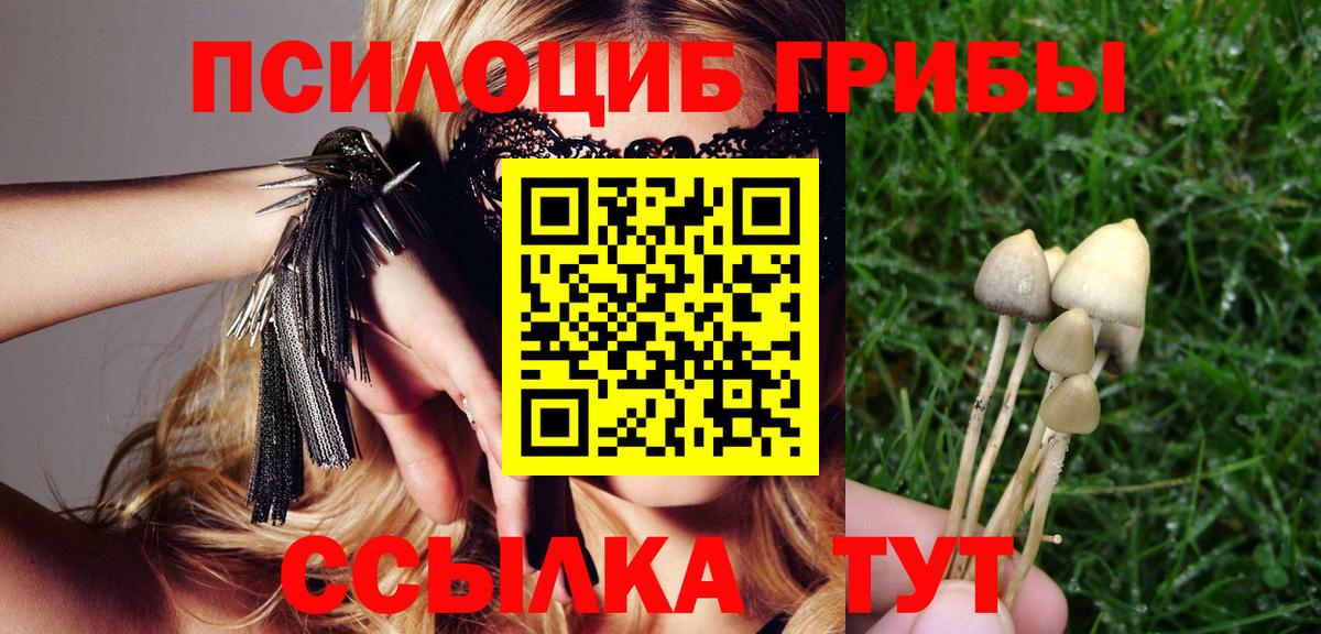 Псилоцибиновые грибы Magic Shrooms  Вход с VPN  Печора 